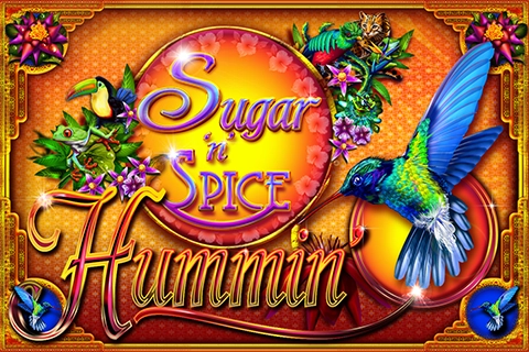 00967 sugar n spice hummin