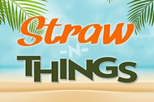 11304 straw n things
